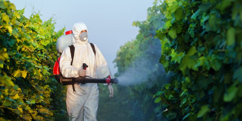 Top Rated Products for Vine Removal