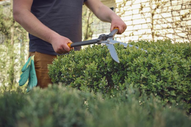 Shrub Trimming in Honolulu, HI