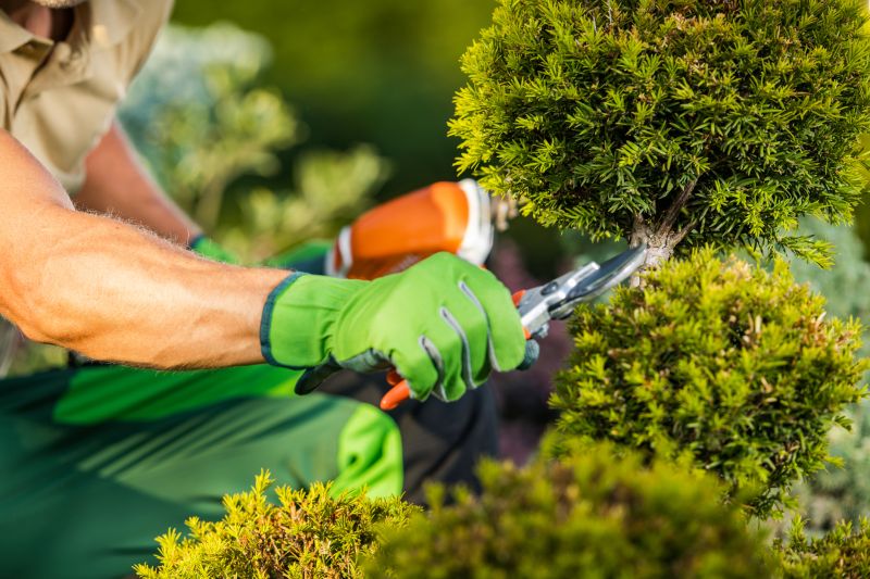 Bush Pruning in Ventura County, CA