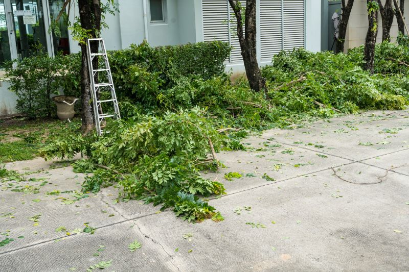 Cherry Tree Removal in Doylestown, PA