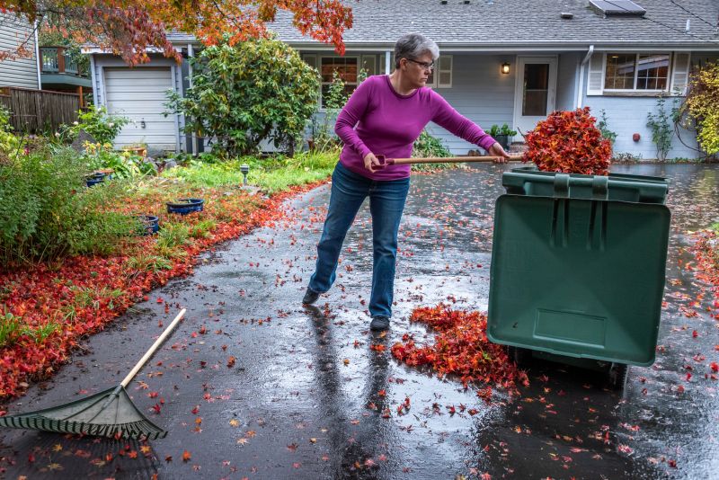 Autumn Leaves on Lawn