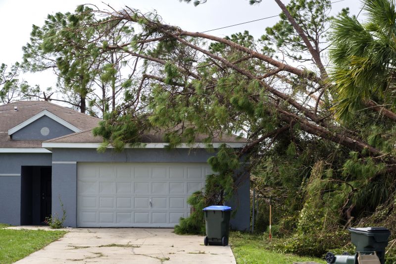 Fallen Tree Removal in Allentown, PA