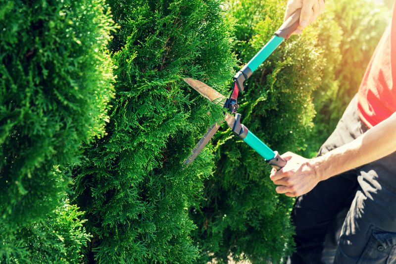 Hedge Trimming in Rockwall, TX