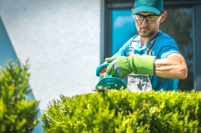 Shrub Trimming in Honolulu, HI