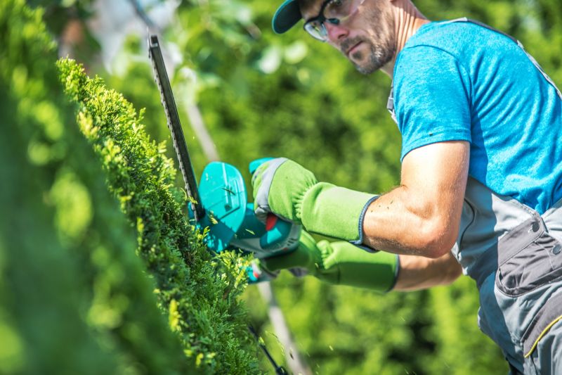 Shrub Trimming in Ventura County, CA