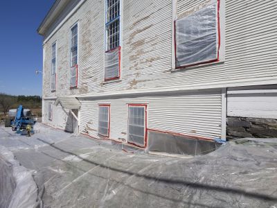 Vine Removal in Progress